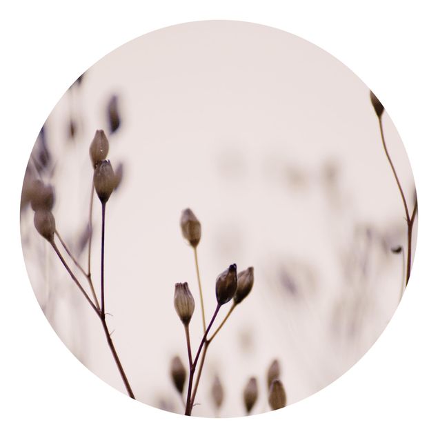 Carta parati beige Boccioli scuri su ramoscello di fiore selvatico