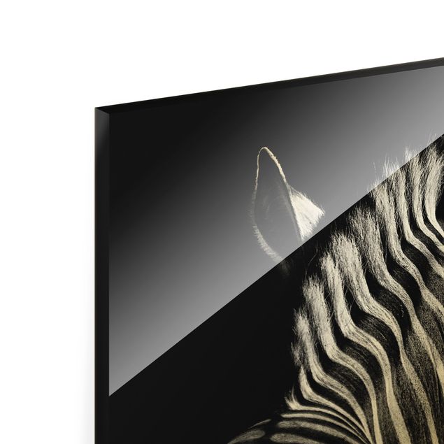 Magnettafel Glas Silhouette Zebra scuro