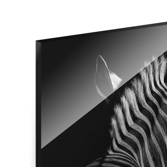 Magnettafel Glas Silhouette Zebra scuro