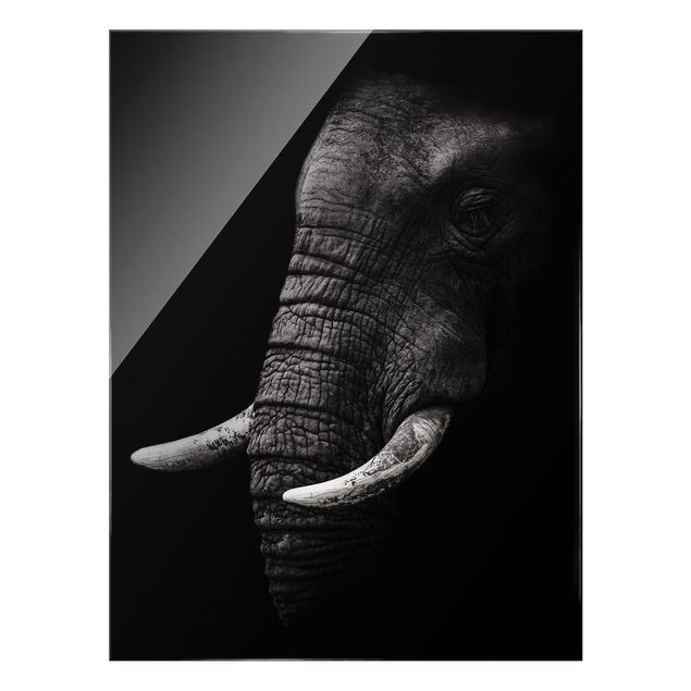 Quadri in vetro con paesaggio Ritratto di elefante scuro