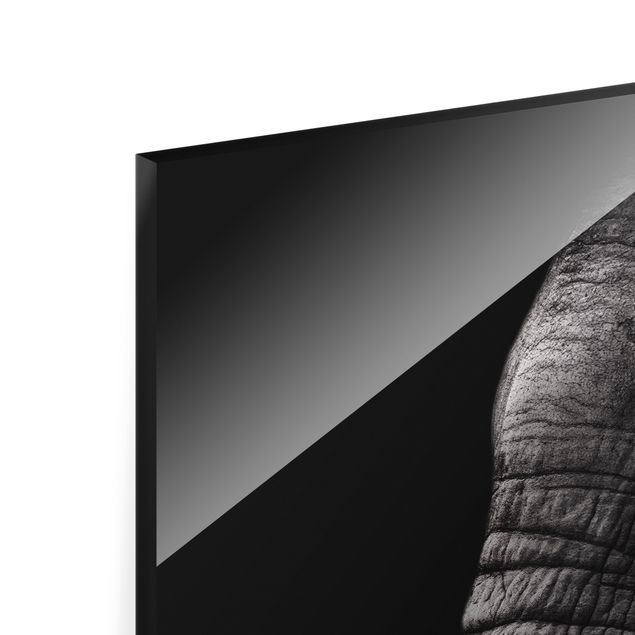 Quadri moderni per arredamento Ritratto di elefante scuro