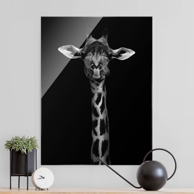 Quadri giraffa Ritratto di giraffa scura