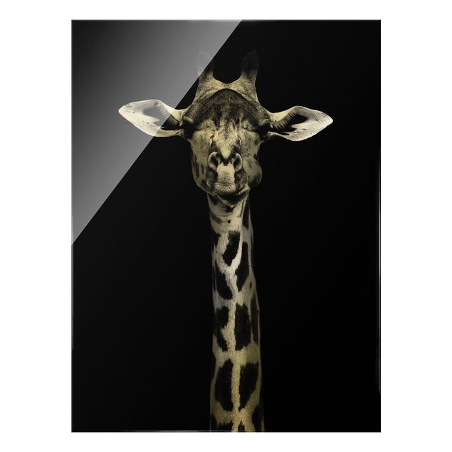 Quadri in vetro con animali Ritratto di giraffa scura