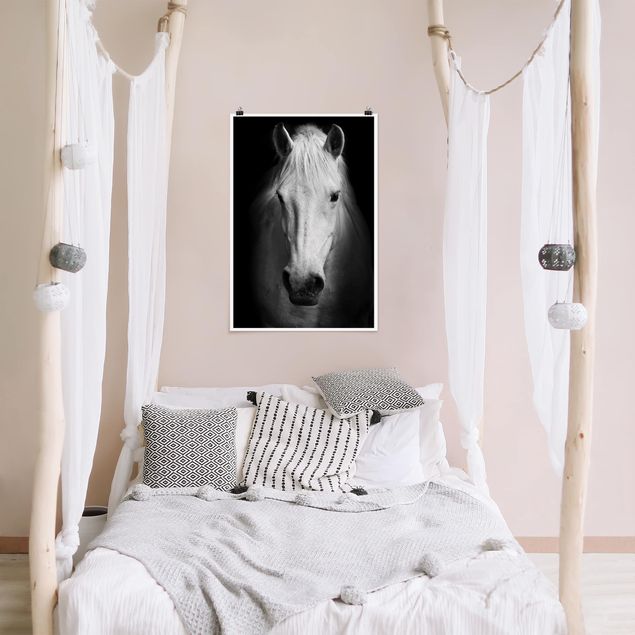 Quadri bianco e nero Sogno di un cavallo