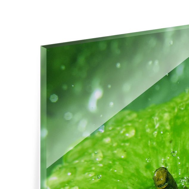 Paraschizzi in vetro - Green Apple