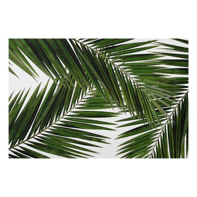 Decorazioni per cucina Vista attraverso le foglie di palma verde