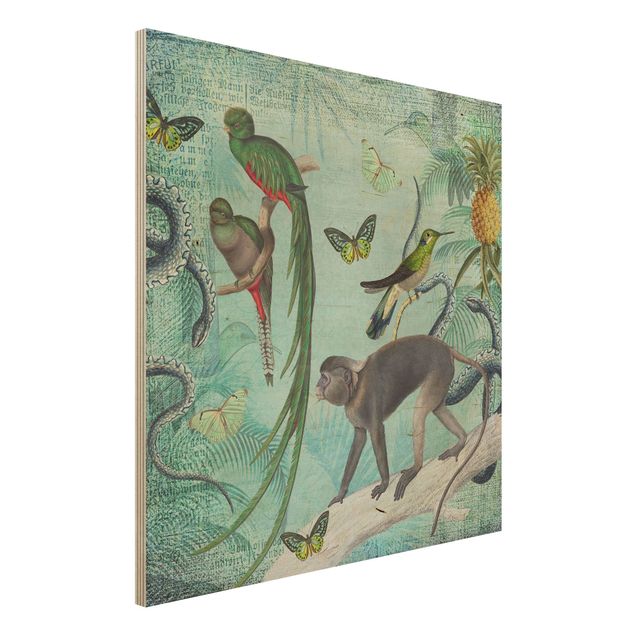 Quadri in legno con fiori Collage in stile coloniale - Scimmie e uccelli del paradiso