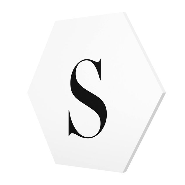 Esagono in forex - Lettera Serif Bianco S