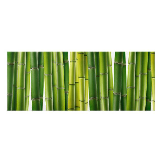 Paraschizzi cucina Piante di bambù