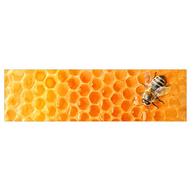 Rivestimento cucina - Honey Bee