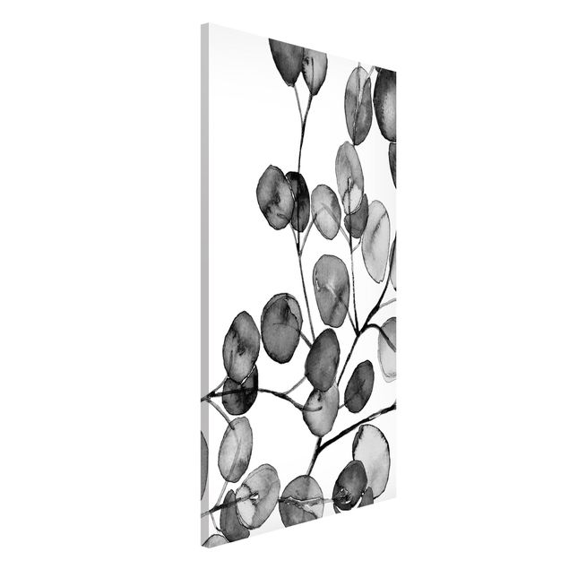 Lavagne magnetiche con fiori Acquerello di ramoscelli di eucalipto in bianco e nero