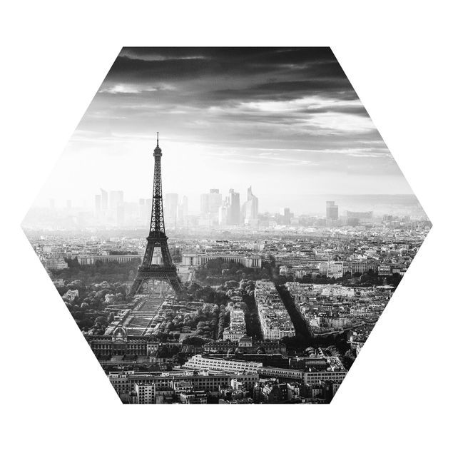 Quadri La Torre Eiffel dall'alto in bianco e nero