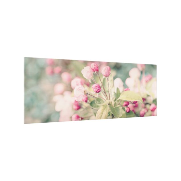 Quadri Andrea Haase Bokeh di fiori di melo rosa chiaro