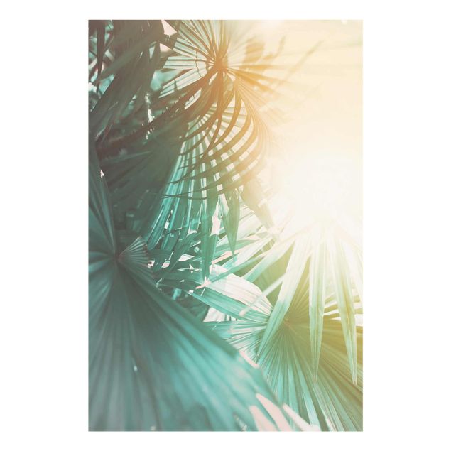 Quadri floreali moderni Piante tropicali Palme al tramonto