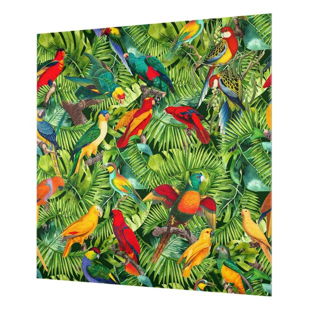 Decorazioni cucina Collage colorato - Pappagalli nella giungla