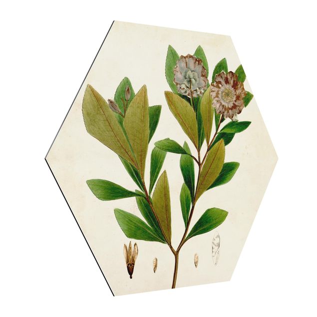 Quadri verdi Poster con piante caducifoglie V