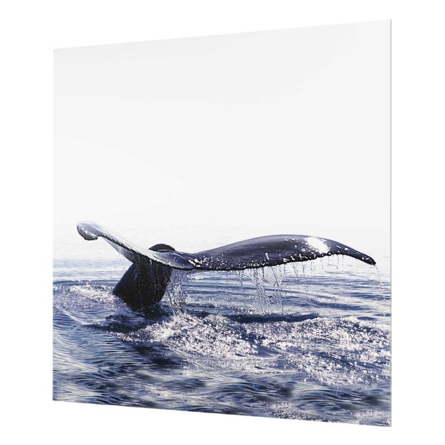 Paraschizzi in vetro - Canto delle balene in Islanda - Quadrato 1:1