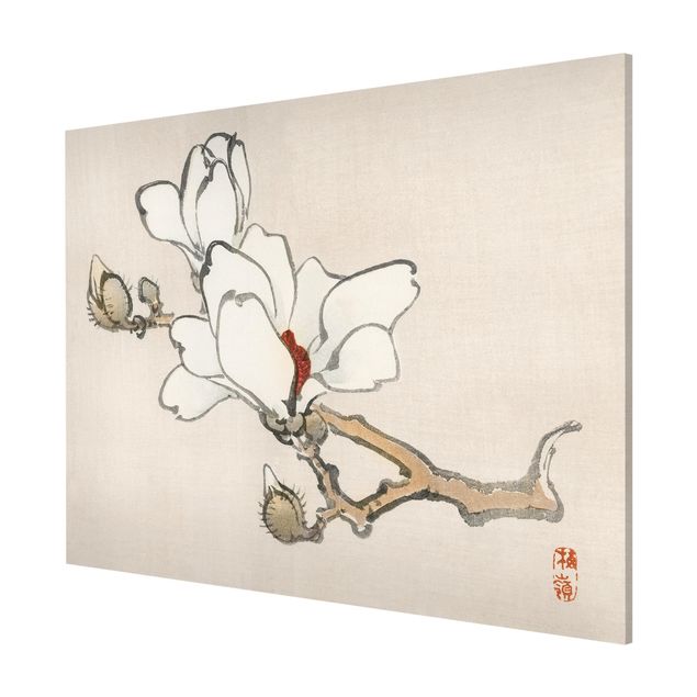 Quadro vintage Disegno vintage asiatico Magnolia bianca