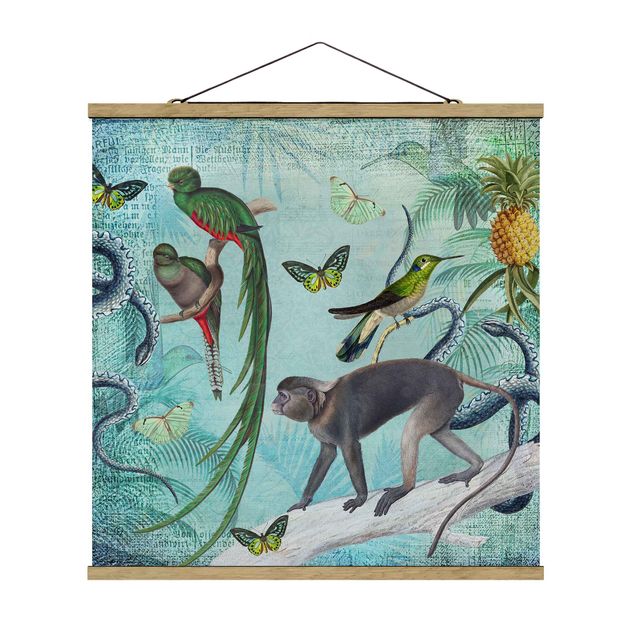 Riproduzioni quadri Collage in stile coloniale - Scimmie e uccelli del paradiso