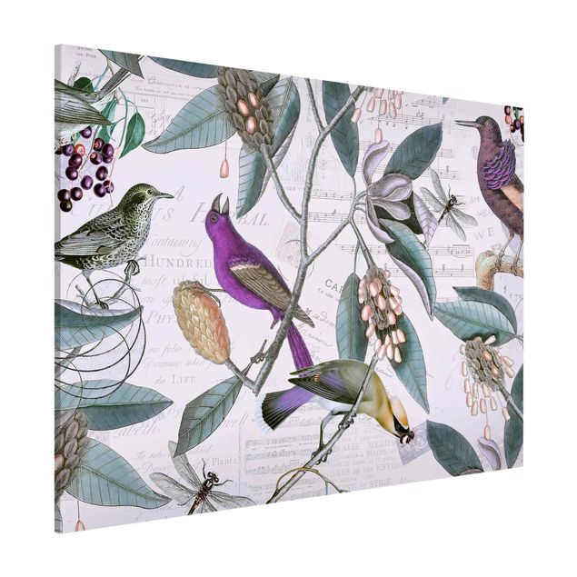 Lavagne magnetiche con fiori Collage vintage - Uccelli nostalgici