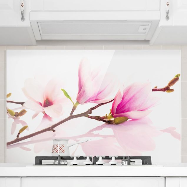 Paraschizzi con fiori Delicato ramo di magnolia