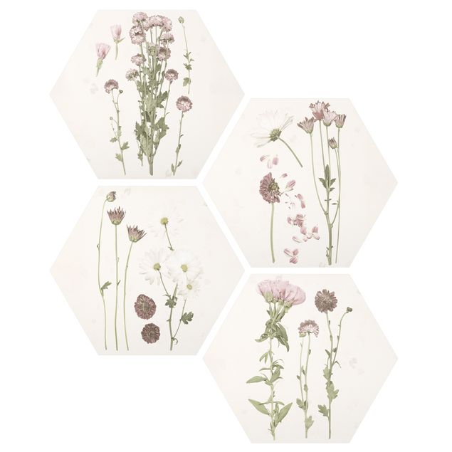 Esagono in forex - Herbarium In Pink Set I
