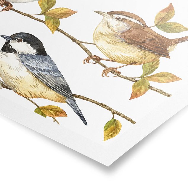 Poster Uccelli e bacche - Cinciallegra