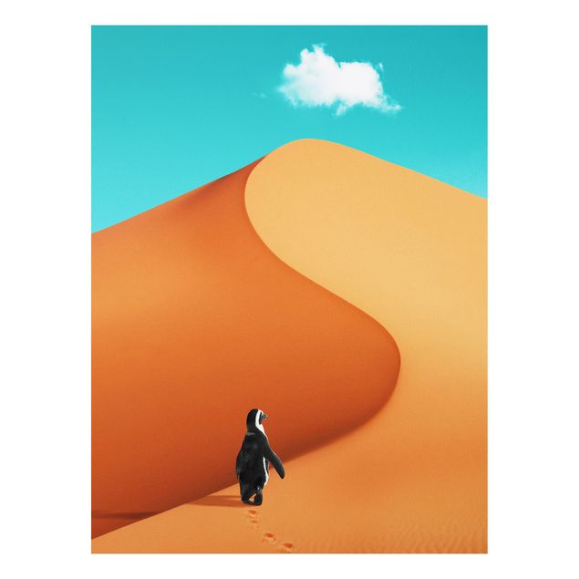 Quadro moderno Deserto con pinguino