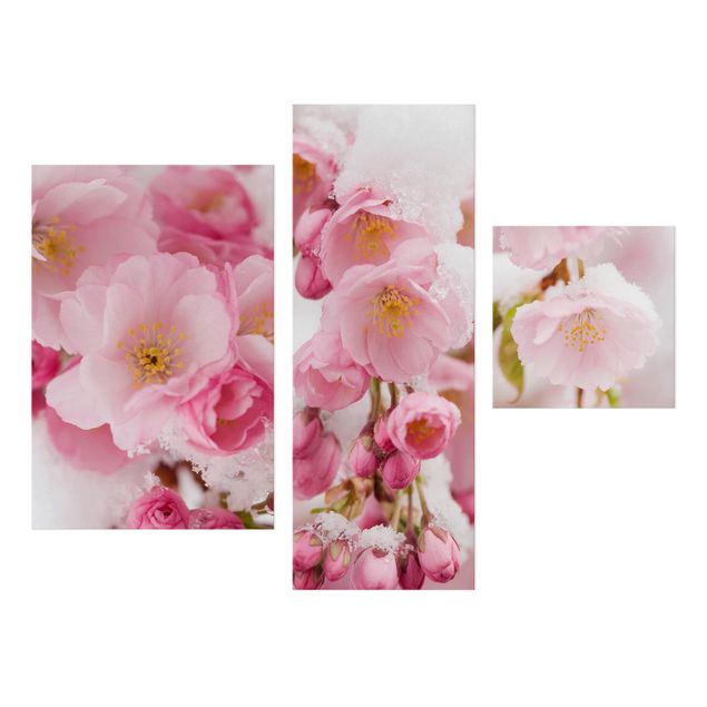 Stampa su tela 3 parti - Snow-covered cherry blossoms - Collage 1