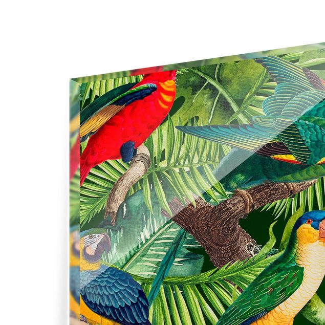 Paraschizzi cucina Collage colorato - Pappagalli nella giungla