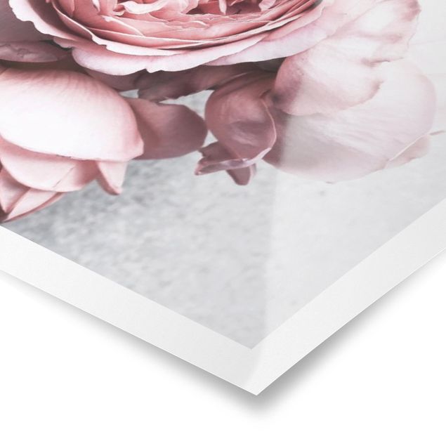 Poster Fiori di peonia rosa chiaro shabby pastello