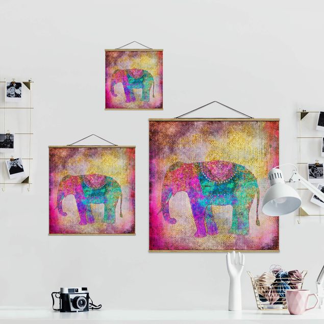 Quadri Andrea Haase Collage colorato - Elefante indiano