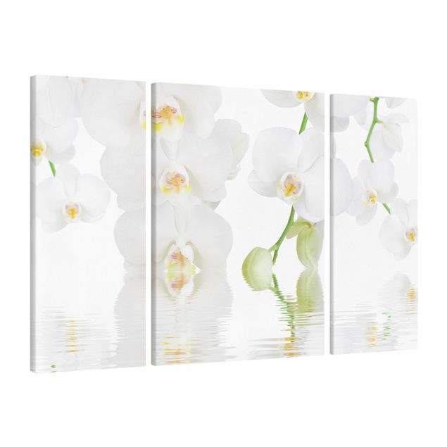 Quadri moderni per arredamento Orchidea Spa - Orchidea bianca
