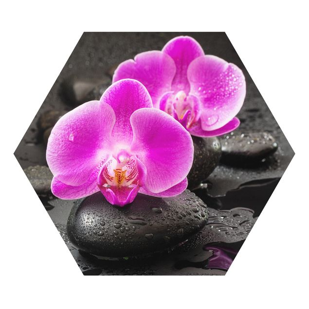 Quadri Uwe Merkel Fiore di orchidea rosa su pietra con gocce