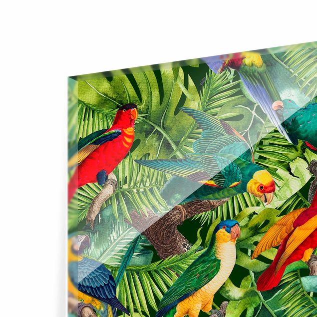 Paraschizzi cucina Collage colorato - Pappagalli nella giungla