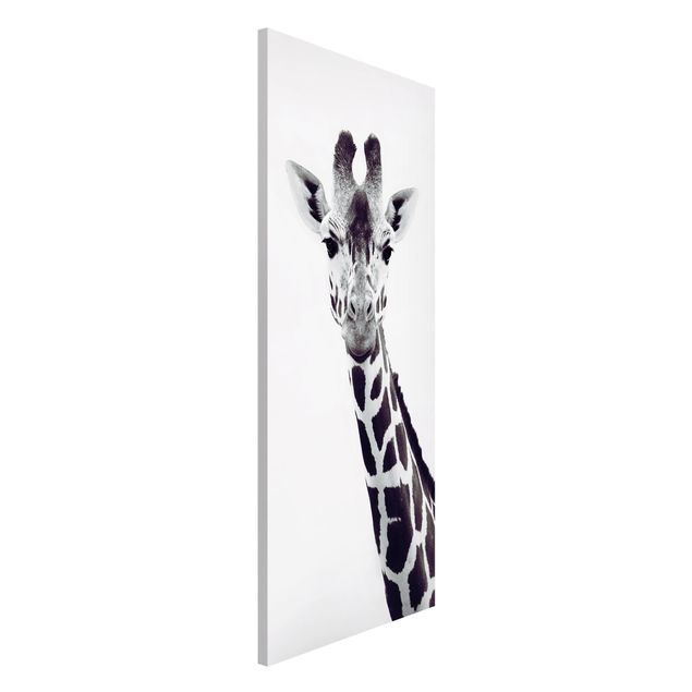 Quadro giraffa Ritratto di giraffa in bianco e nero