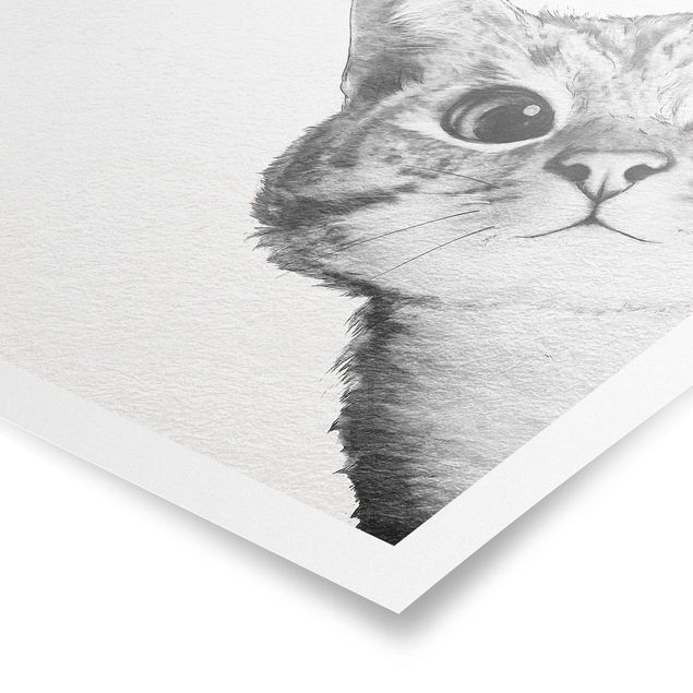 Riproduzioni quadri Illustrazione - Gatto Disegno in bianco e nero