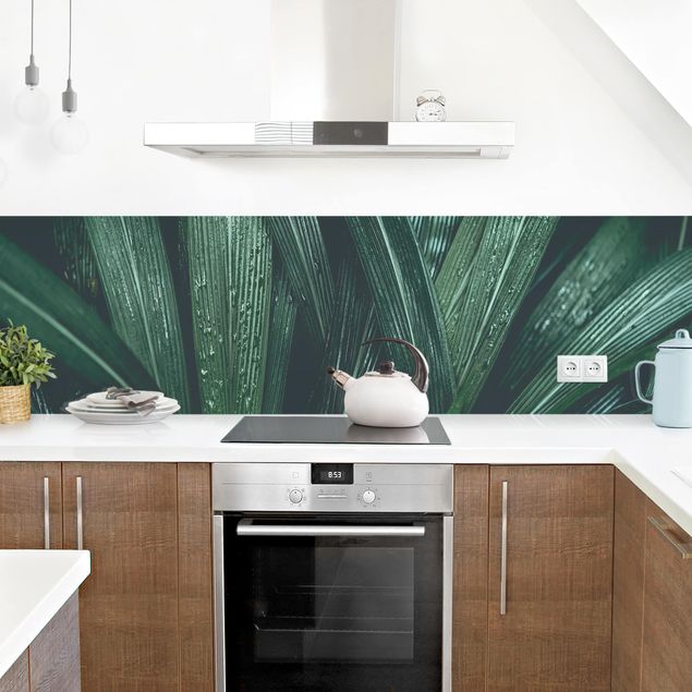 Rivestimento cucina moderna Foglie di palma verde