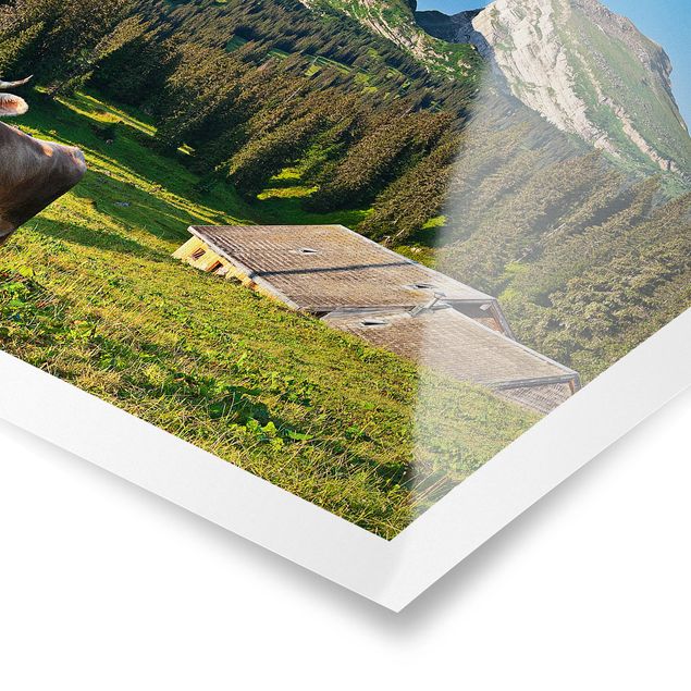 Quadri natura Prato alpino svizzero con mucca