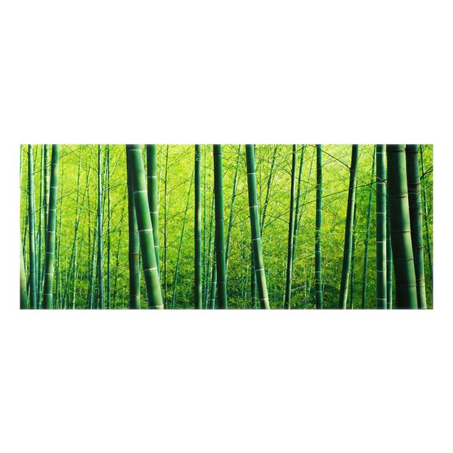 Paraschizzi cucina vetro Foresta di bambù