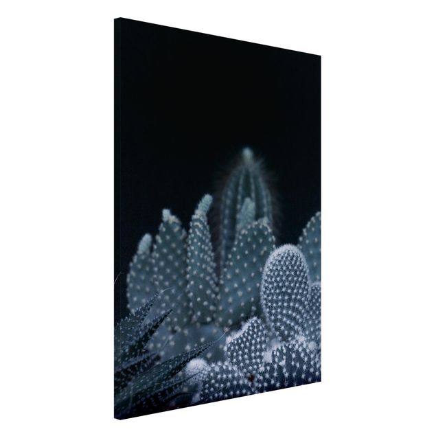 Lavagne magnetiche con fiori Famiglia di cactus di notte