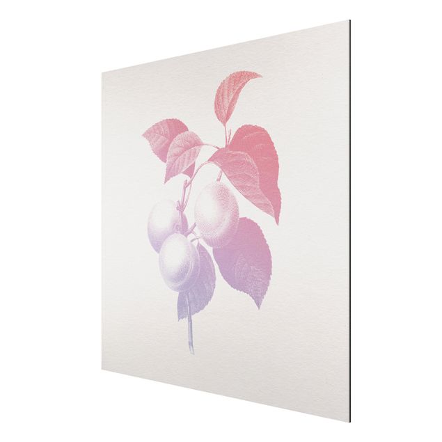 Quadro floreale Botanica moderna vintage - Pesca Rosa chiaro Viola