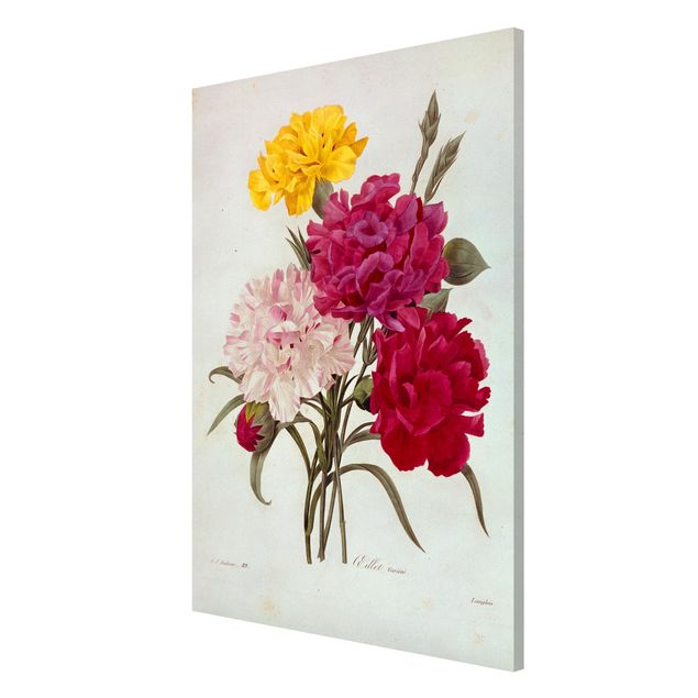 Lavagne magnetiche con fiori Pierre Joseph Redoute - Chiodi di garofano