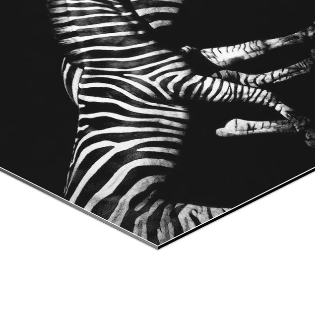 Esagono in Alluminio Dibond - Zebra In The Dark