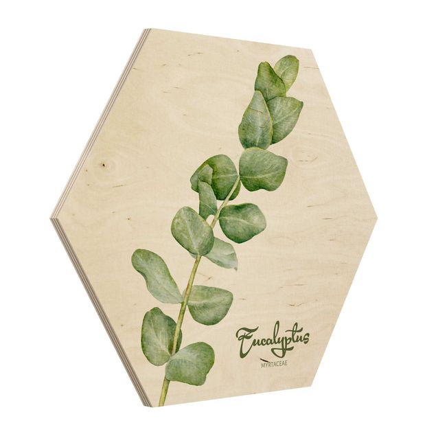 Stampe su legno Botanica ad acquerello Eucalipto