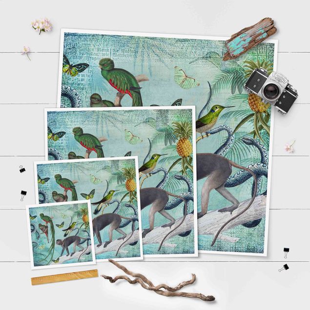 Stampe poster Collage in stile coloniale - Scimmie e uccelli del paradiso