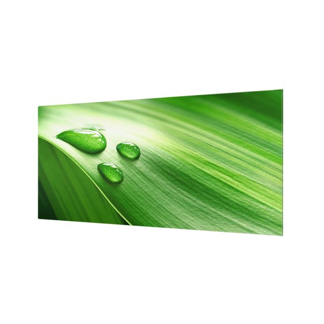 Paraschizzi in vetro - Banana Leaf With Drops