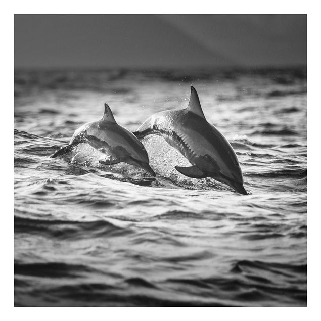 Quadri moderni per arredamento Due delfini che saltano