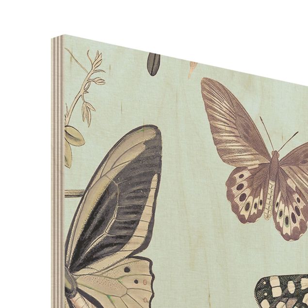 Stampe su legno Collage vintage - Farfalle e libellule