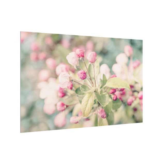 Quadri Andrea Haase Bokeh di fiori di melo rosa chiaro